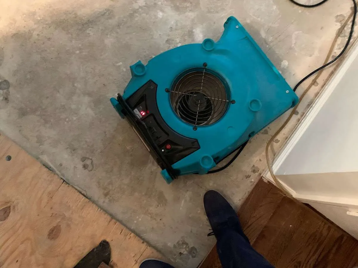 Air mover drying subfloor during Leak Detection & Repair in Davenport